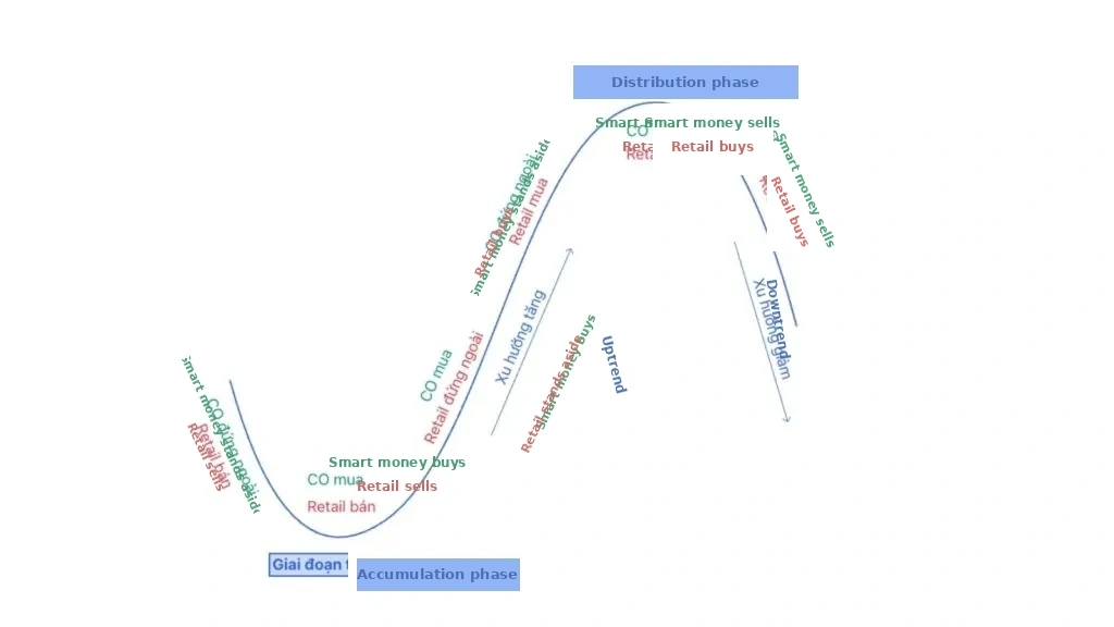 The market price cycle