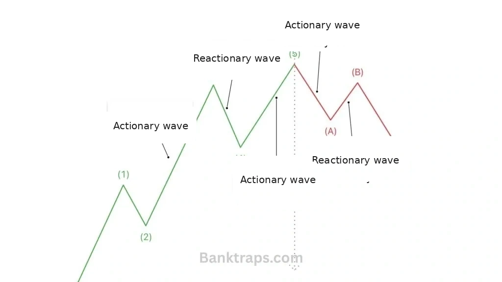 The function of each wave